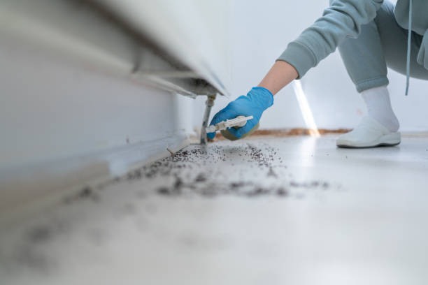 Best Cockroach Control Services  in Tangent, OR