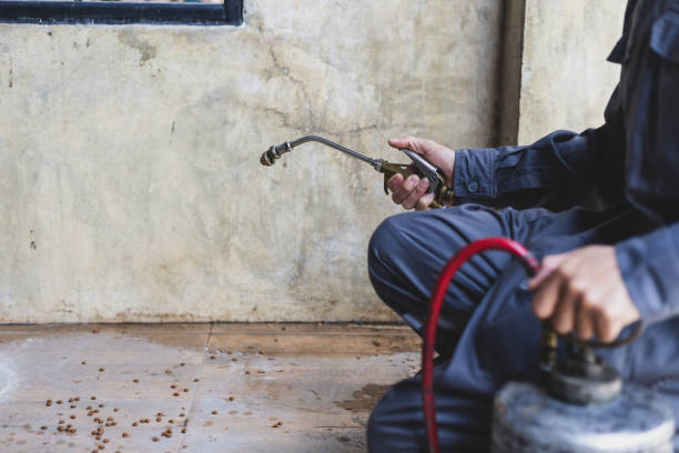 Best Best Pest Control Companies  in Tangent, OR